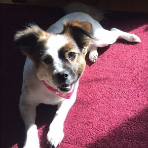 Meet your Posher, Angelica